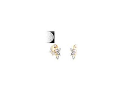 Gold Plated | Fashion Earrings